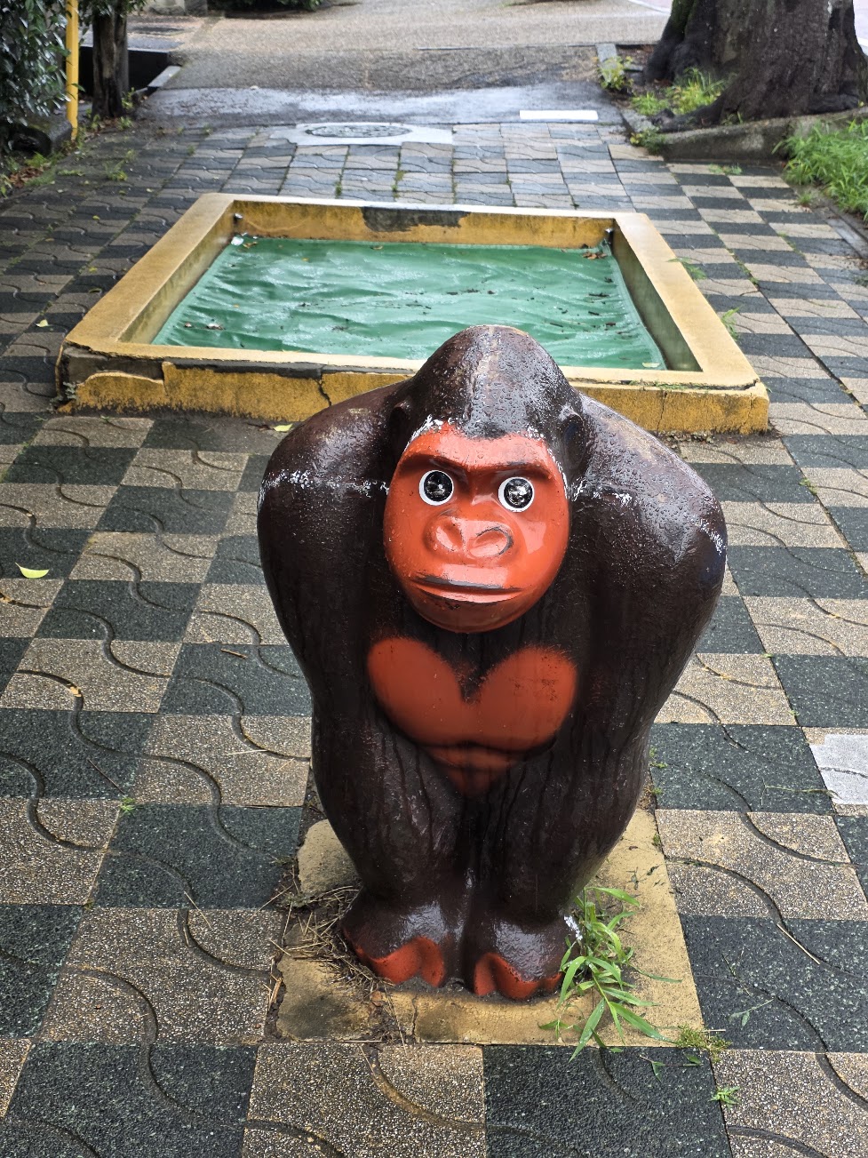 Gorilla